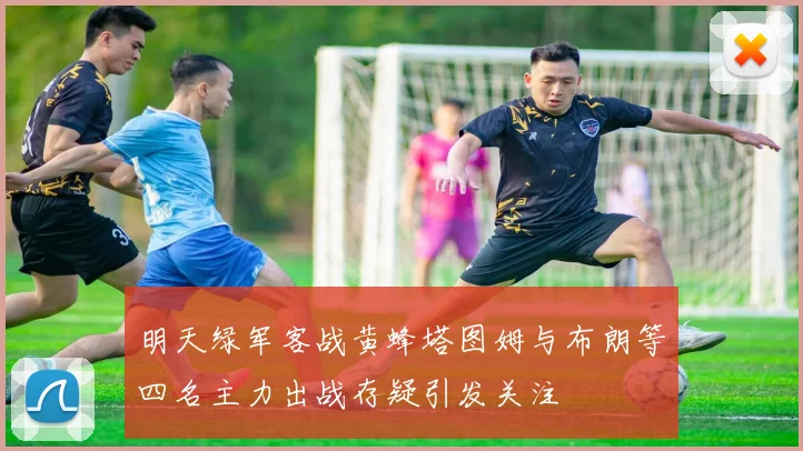 明天绿军客战黄蜂塔图姆与布朗等四名主力出战存疑引发关注